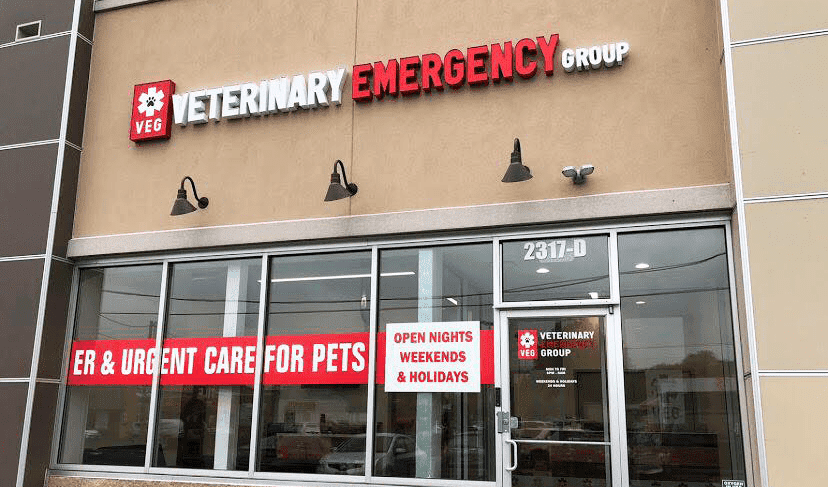 Veterinary Emergency Group