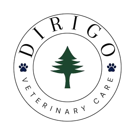 Dirigo Veterinary Care Logo